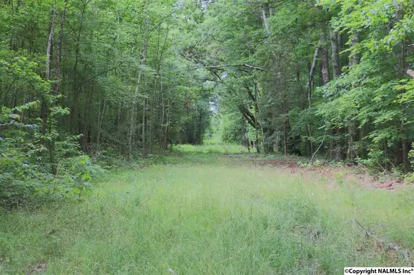 Ardmore, AL 35739,3353 Ready Section Road