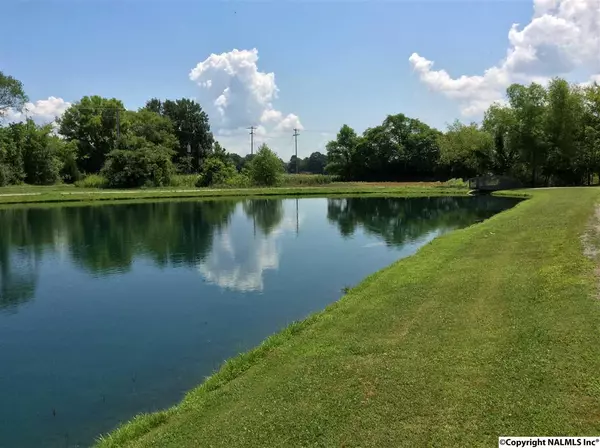 Decatur, AL 35603,4013 Saddlehorn Bend #Lot # 45