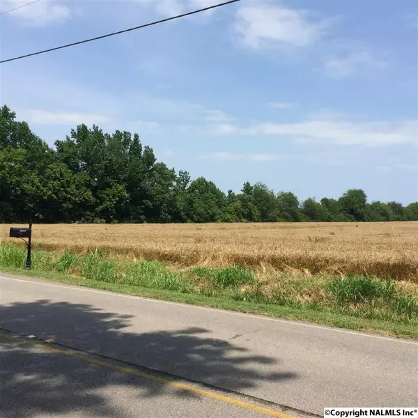 12944 Pulaski Pike, Toney, AL 35773