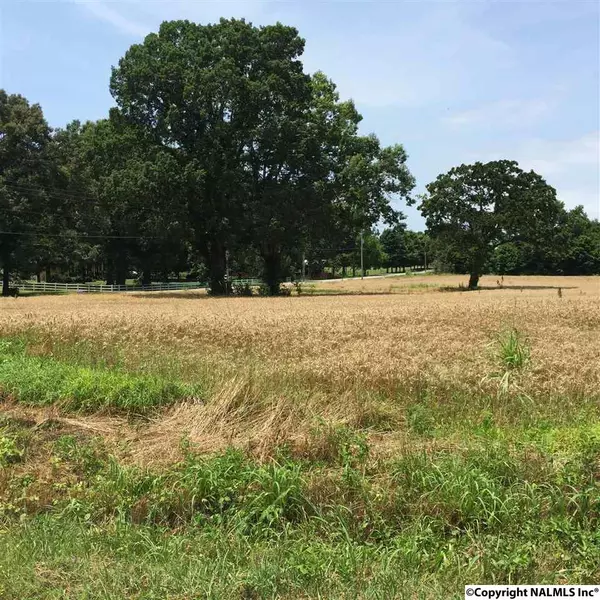 12908 Pulaski Pike, Toney, AL 35773