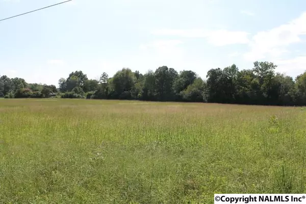 Rainsville, AL 35986,Davis Avenue