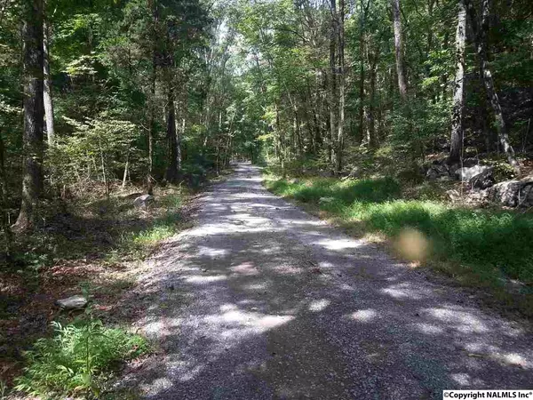 Raintree Road, Brownsboro, AL 35741