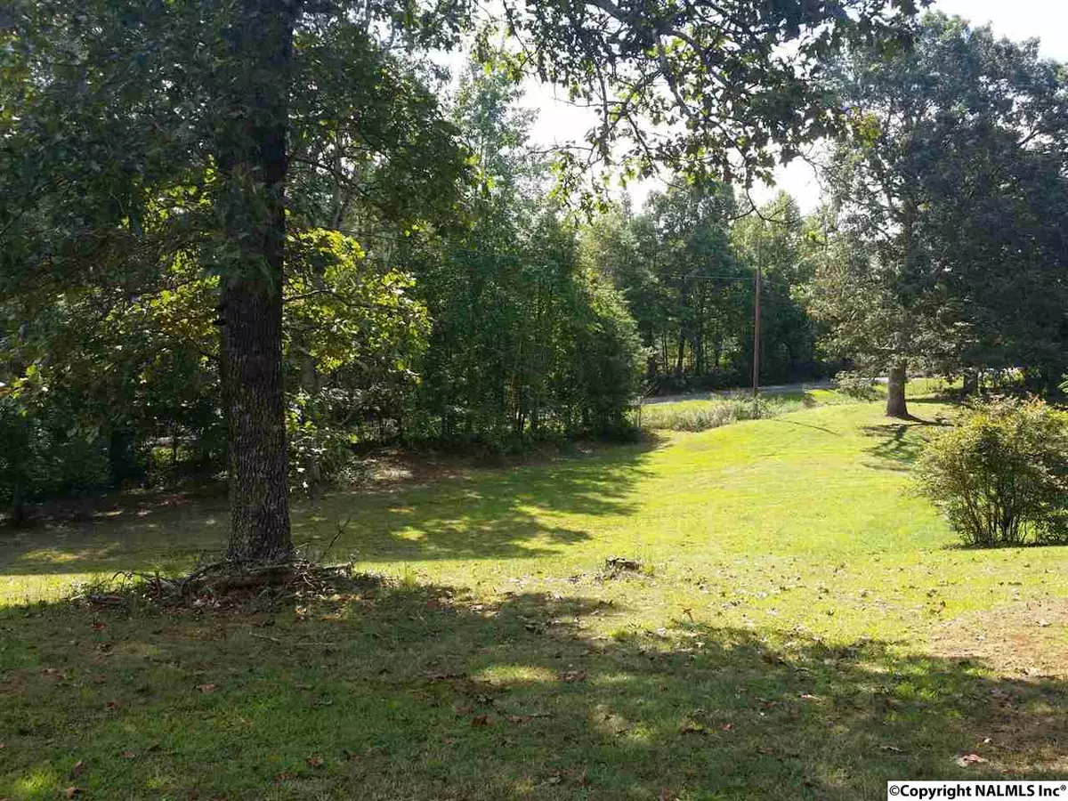 Fort Payne, AL 35967,0 Oak Hill Drive