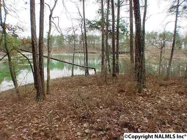 Arley, AL 35541,8 County Road 3941