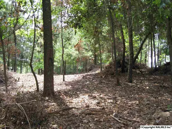 Arley, AL 35541,8 County Road 3941