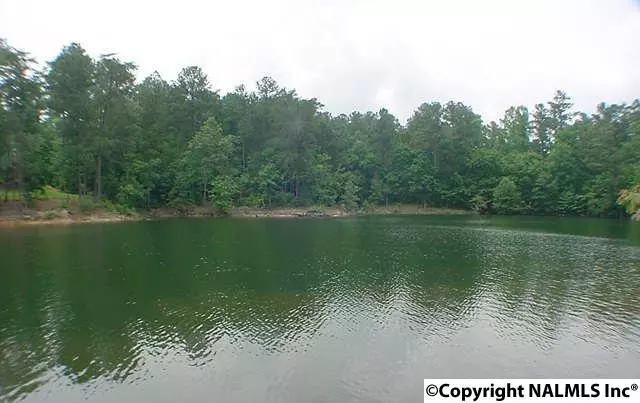 Arley, AL 35541,8 County Road 3941