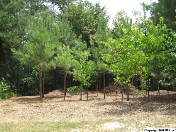 Arley, AL 35541,8 County Road 3941