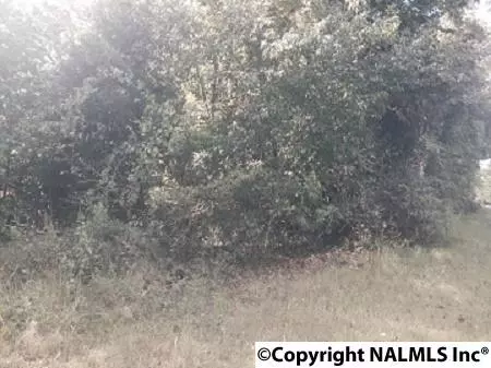 0 Carters Gin Road, Toney, AL 35773