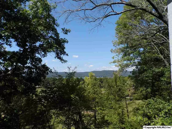 Langston, AL 35755,1424 Murphy Hill Road