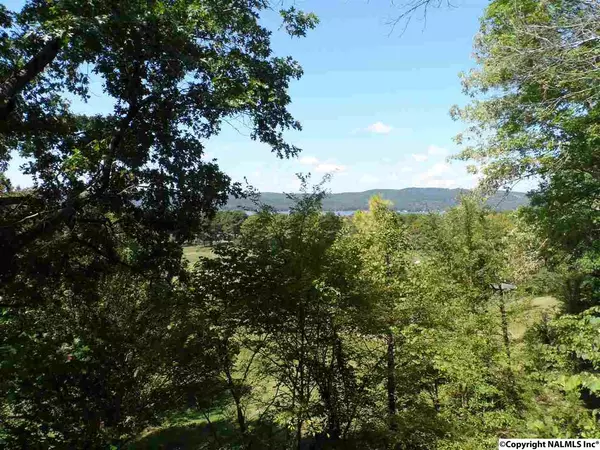 Langston, AL 35755,1424 Murphy Hill Road