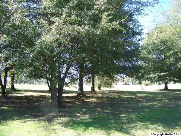 Rainsville, AL 35986,1723 Brown Chapel Road