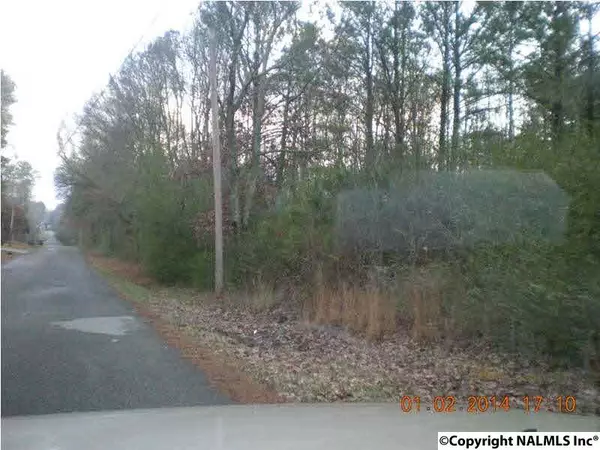 Arab, AL 35016,LOT 1 Spring Road