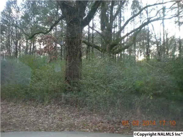 Arab, AL 35016,LOT 1 Spring Road