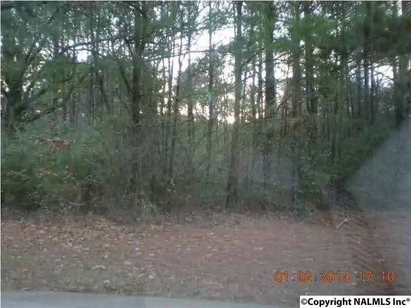 Arab, AL 35016,LOT 1 Spring Road