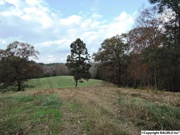 Crane Hill, AL 35053,5270 County Road 201