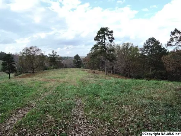 Crane Hill, AL 35053,5270 County Road 201