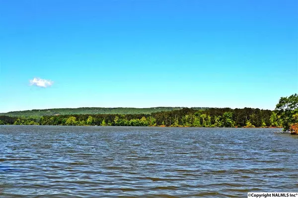 Langston, AL 35755,55 Lema Lane