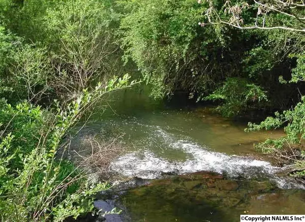 Rainsville, AL 35986,306 Wigley Avenue