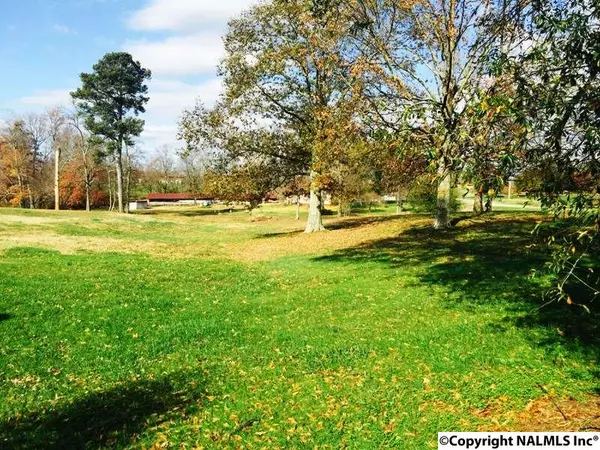 Rainsville, AL 35986,994 County Road 202