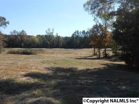 Hwy 11, Steele, AL 35987