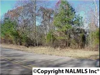 Lewis Mountain Road, New Market, AL 35761