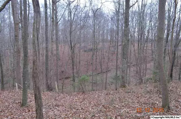 82 Hotel Road, Flintville, TN 37335