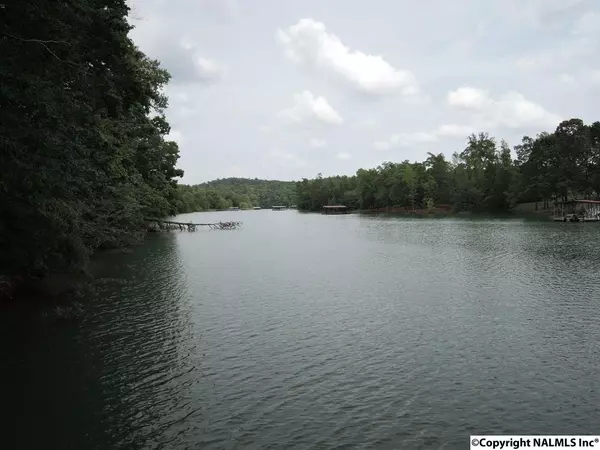 4 County Road 113, Double Springs, AL 35553