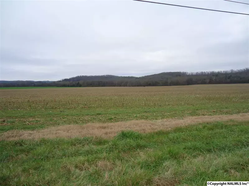 Elkton Pike, Pulaski, TN 38478