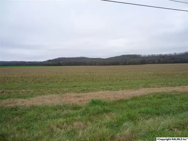 Elkton Pike, Pulaski, TN 38478