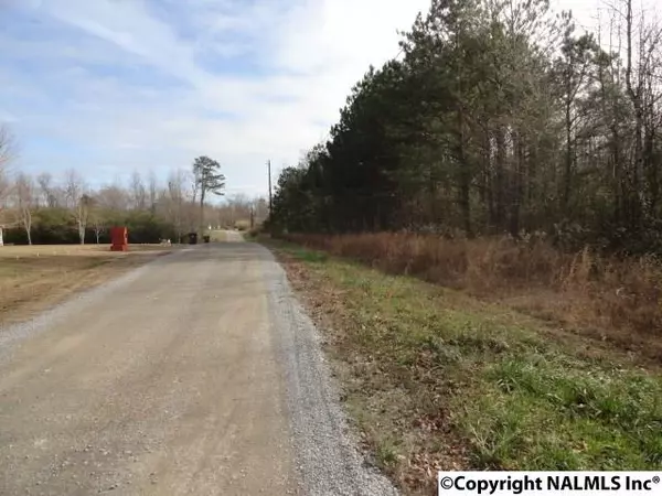 159 Birdsong Lane, Section, AL 35771