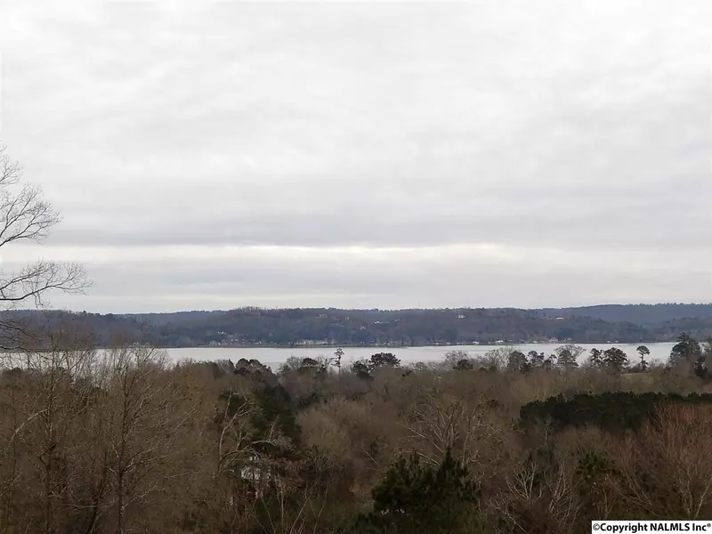 18 Buckskin Drive, Guntersville, AL 35976