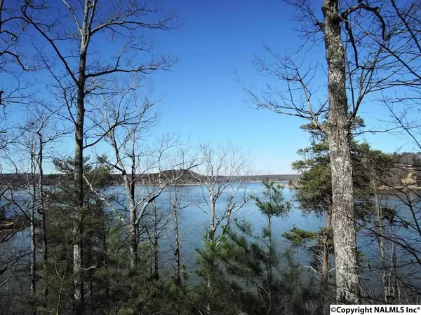 Bremen, AL 35033,2B County Road 360