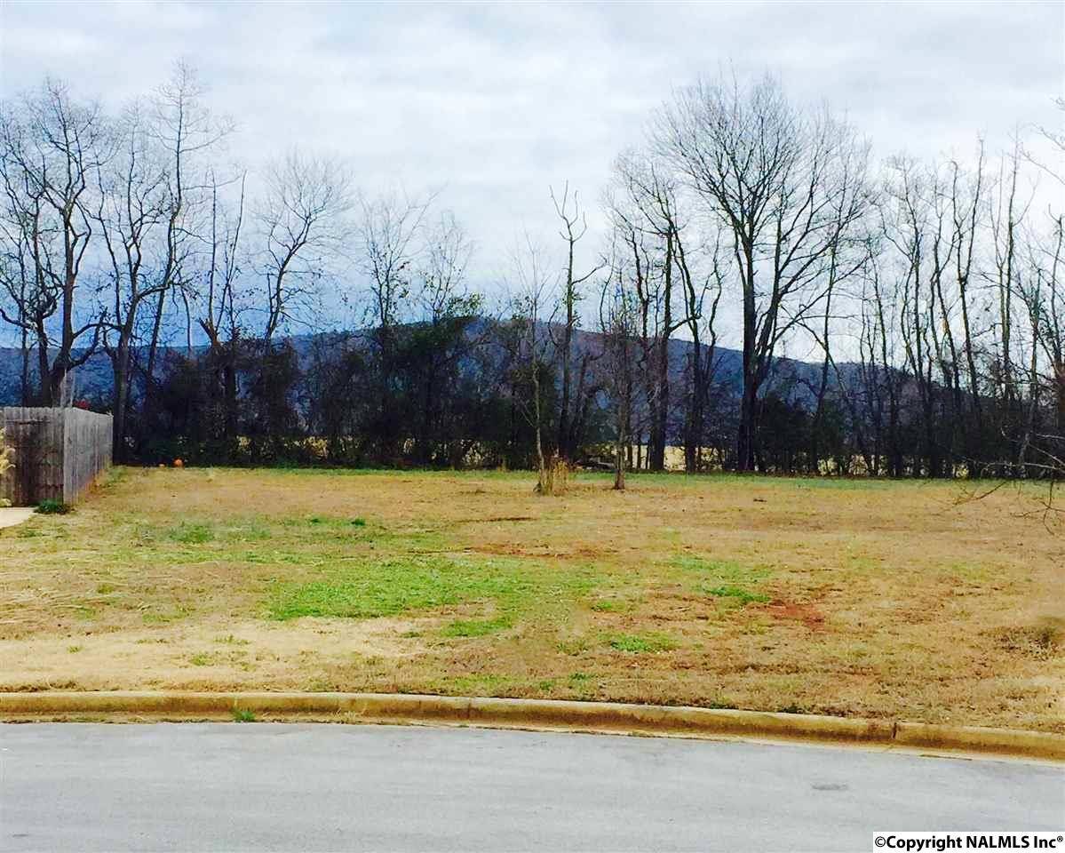 Huntsville, AL 35811,229 Poplar Glen