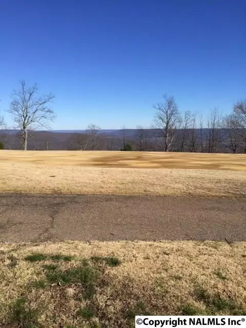 Huntsville, AL 35802,63 Ledge View Drive