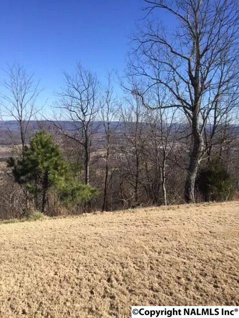 Huntsville, AL 35802,63 Ledge View Drive