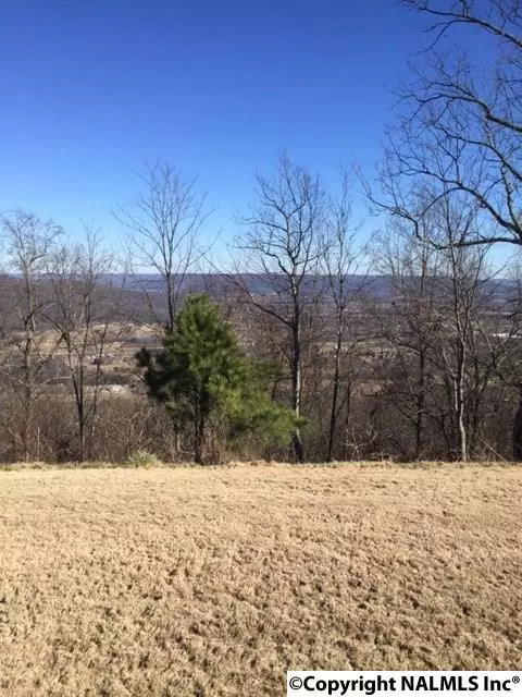 Huntsville, AL 35802,63 Ledge View Drive