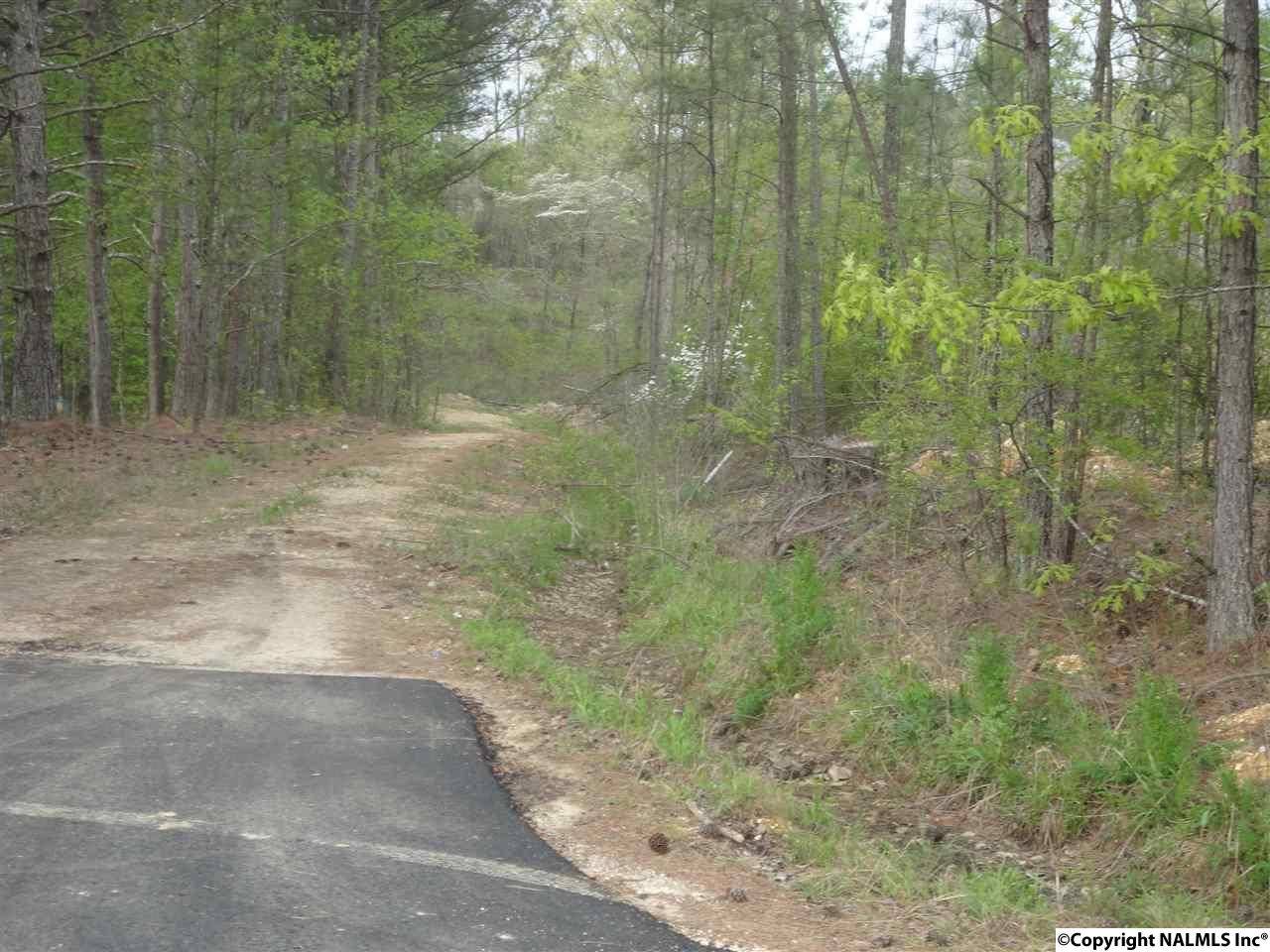 Southside, AL 35907,Quail Point Way