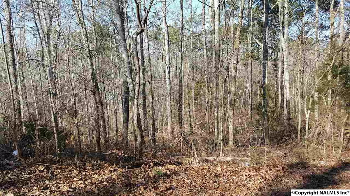 Scottsboro, AL 35769,LOT 14 Holiday Shores Cut-Off Road