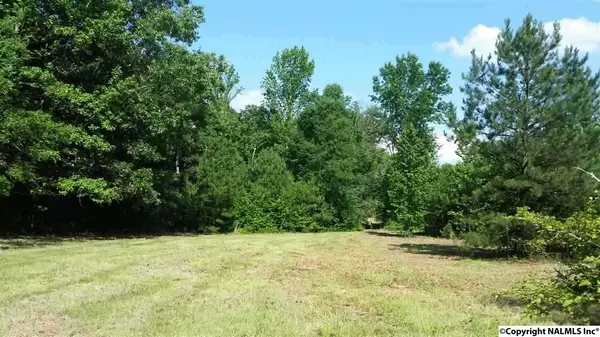 Lot # 28 County Road 653, Centre, AL 35960