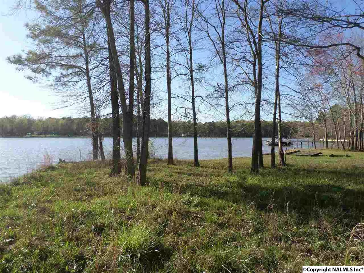 Cedar Bluff, AL 35959,Hidden Point Drive