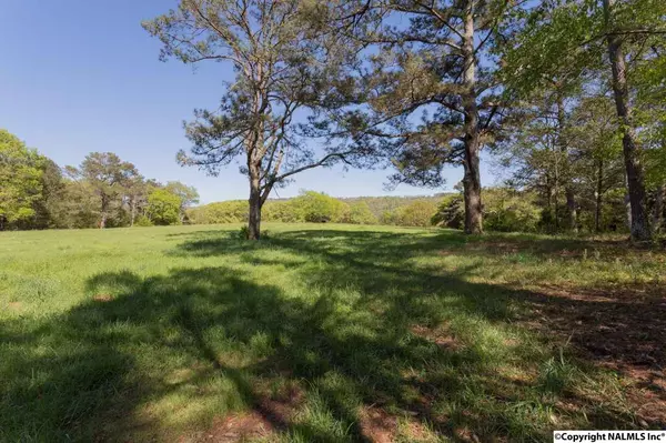 Langston, AL 35755,30 Gurney Lane