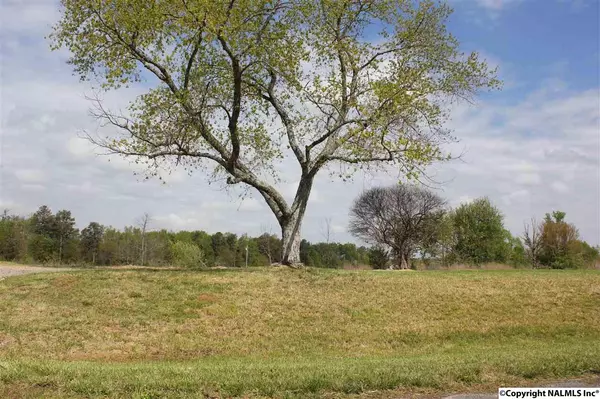 8078 County Road 44, Dawson, AL 35963