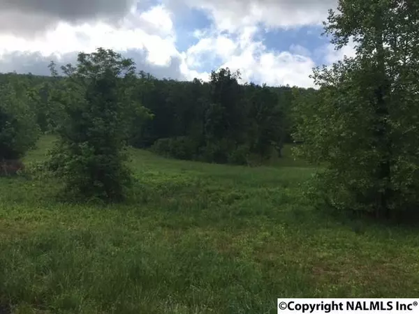 Langston, AL 35755,1 County Road 67