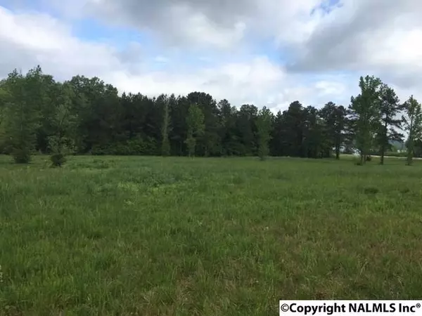 Langston, AL 35755,1 County Road 67