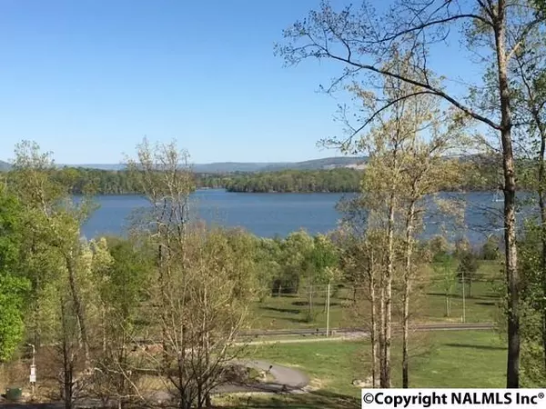 5 County Road 67, Langston, AL 35755