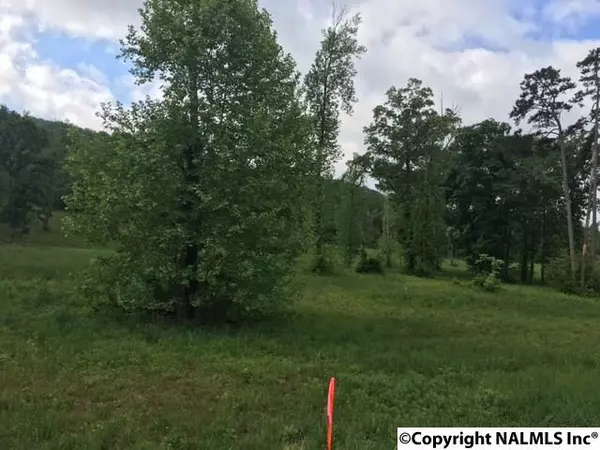 Langston, AL 35755,3A County Road 67
