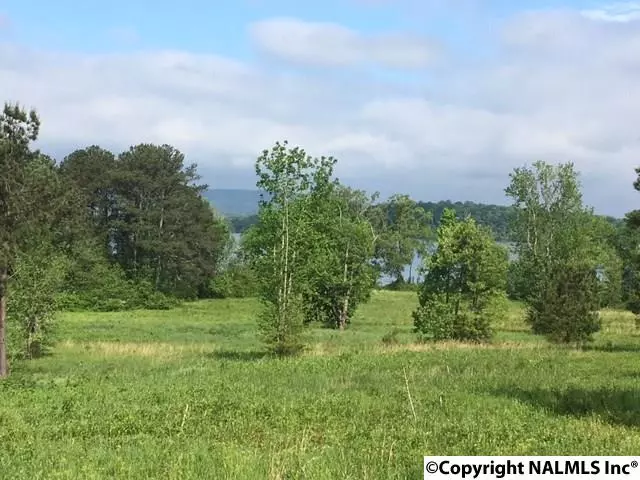 Langston, AL 35755,3A County Road 67