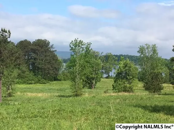 3A County Road 67, Langston, AL 35755