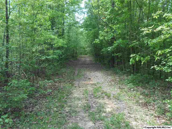 Odenville, AL 35120,161 Stephens Lane