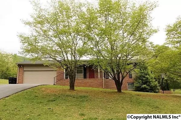 312 NE 37th Street, Fort Payne, AL 35967